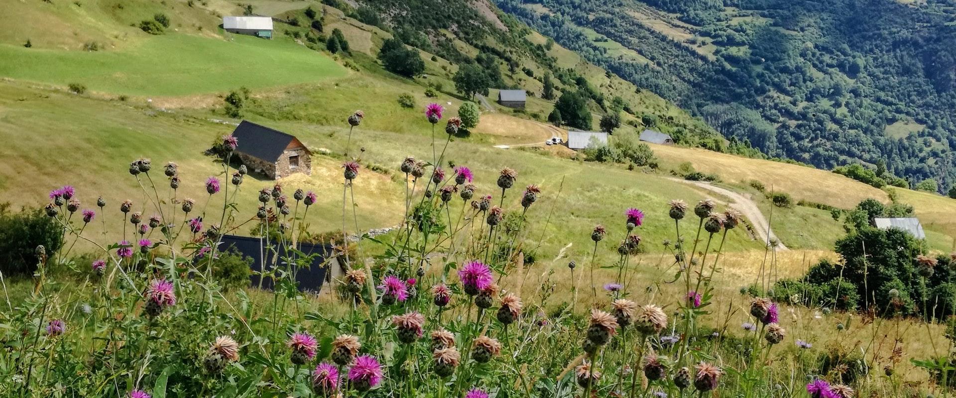 Châtillon-sur-Chalaronne – Grand Colombier