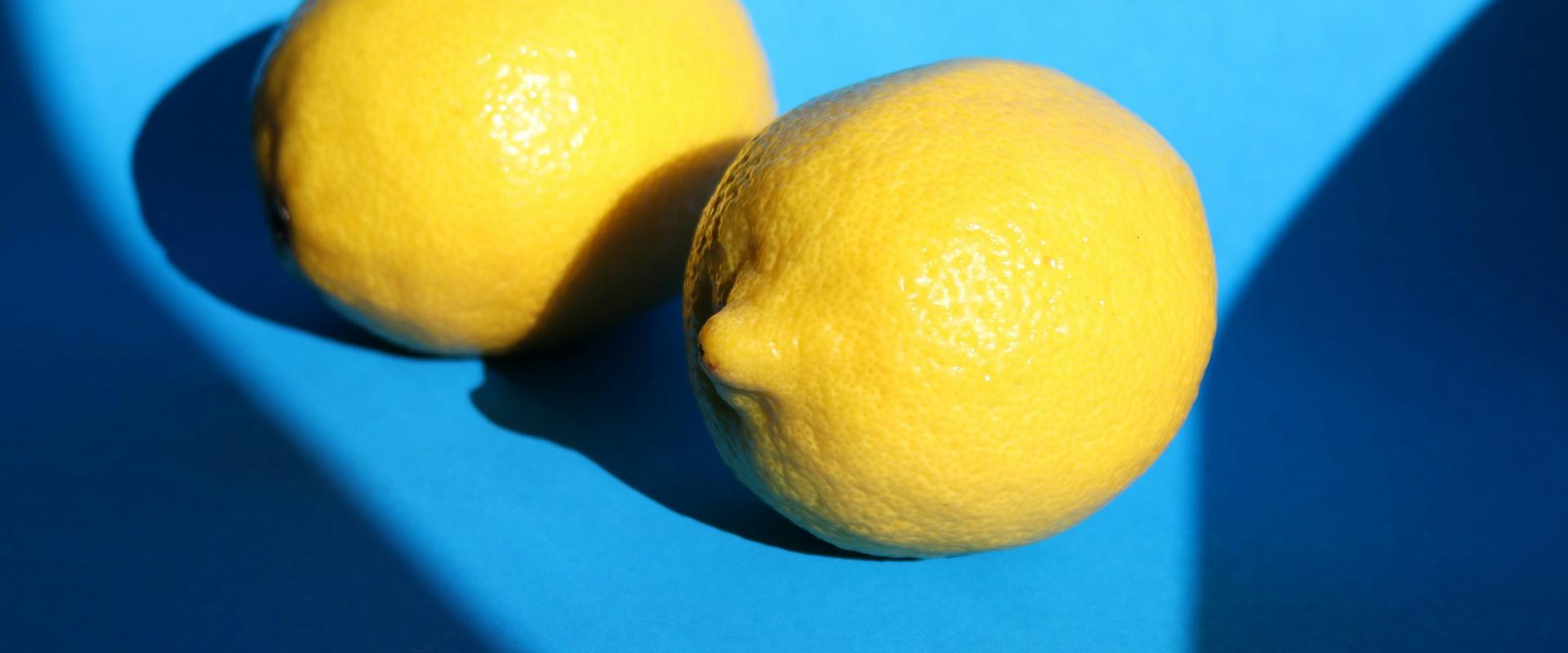 Alba – Limone Piemonte