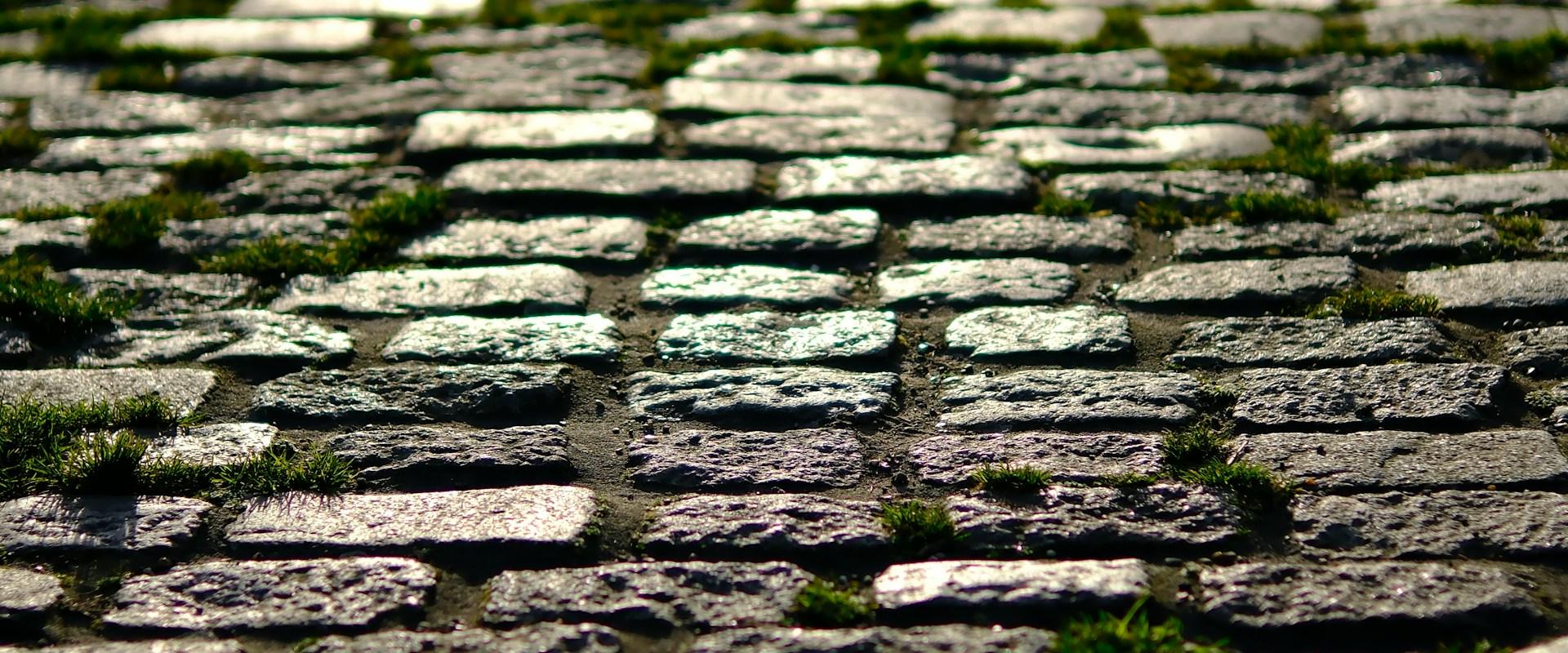 Paris-Roubaix Femmes avec Zwift