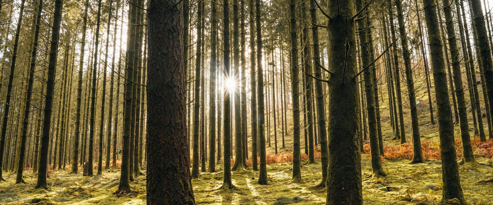 Liège-Bastogne-Liège