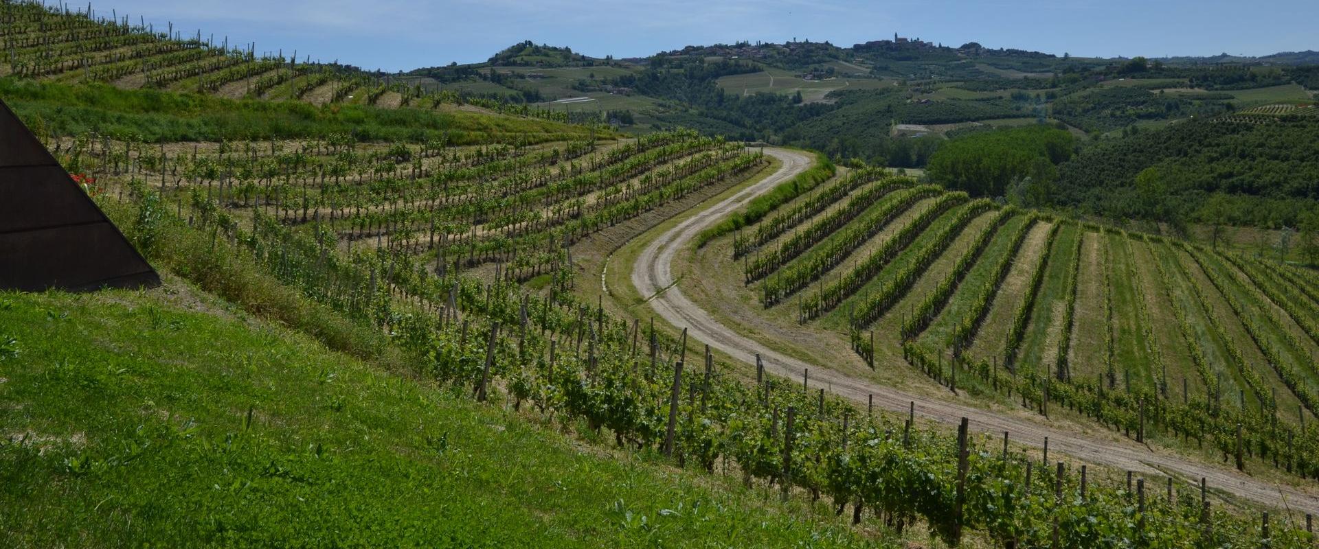 Gran Piemonte