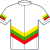 Maillot Champion - Lithuanie - Vaitkus -2008