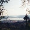 Varese