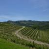 Gran Piemonte