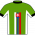Maillot Champion - Slovakie - Peter Sagan - 2012