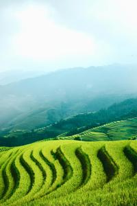 Guangxi