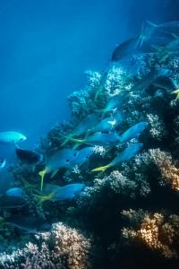 Mapei Cadel Evans Race - Women