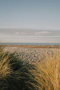 Danilith Nokere Koerse WE