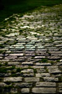 Paris-Roubaix Femmes avec Zwift