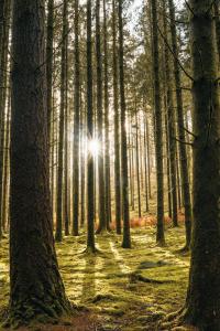 Liège-Bastogne-Liège