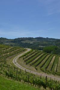 Gran Piemonte